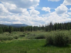 Saint Louis Creek Arapaho National Forest