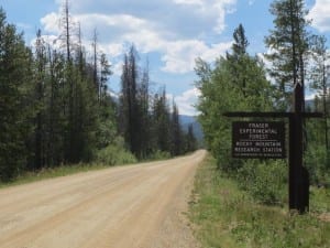 Saint Louis Creek Fraser Experimental Forest