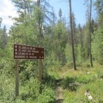 Saint Louis Creek Deadhorse Creek Trailhead