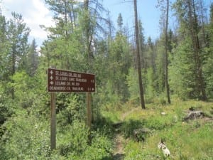 Saint Louis Creek Deadhorse Creek Trailhead