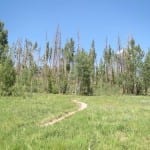 Saint Louis Creek Bike Trail