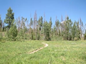 Saint Louis Creek Bike Trail