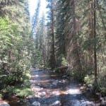 Vasquez Ridge Creek
