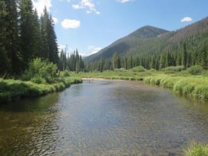 Vasquez Ridge Fishing Pond