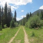 Vasquez Ridge Trail