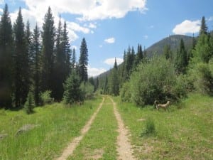 Vasquez Ridge Trail