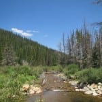 Vasquez Ridge Creek