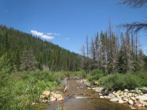 Vasquez Ridge Creek