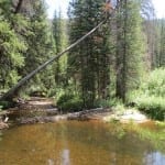 Vasquez Ridge Pond