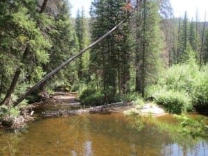 Vasquez Ridge Pond