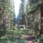 Vasquez Ridge Hiking