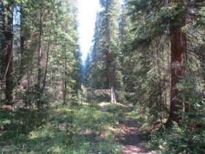 Vasquez Ridge Hiking