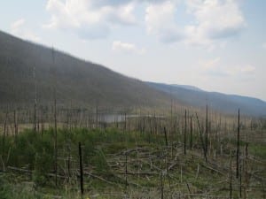 Flat Tops Trail Big Fish Fire