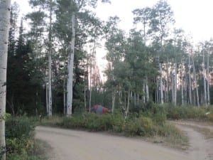 Buffalo Pass Dry Lake Campground