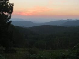 Routt National Forest Buffalo Pass