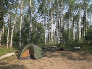 Buffalo Pass Dispersed Campsite