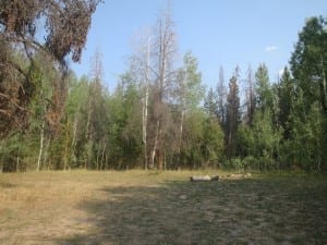 Hahns Peak Lake Dispersed Campsite