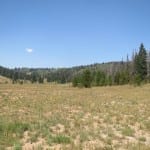 Rabbit Ears Pass West Summit
