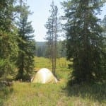 Rabbit Ears Pass Meadows Campsite