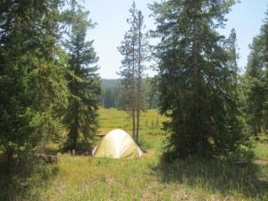 Rabbit Ears Pass Meadows Campsite