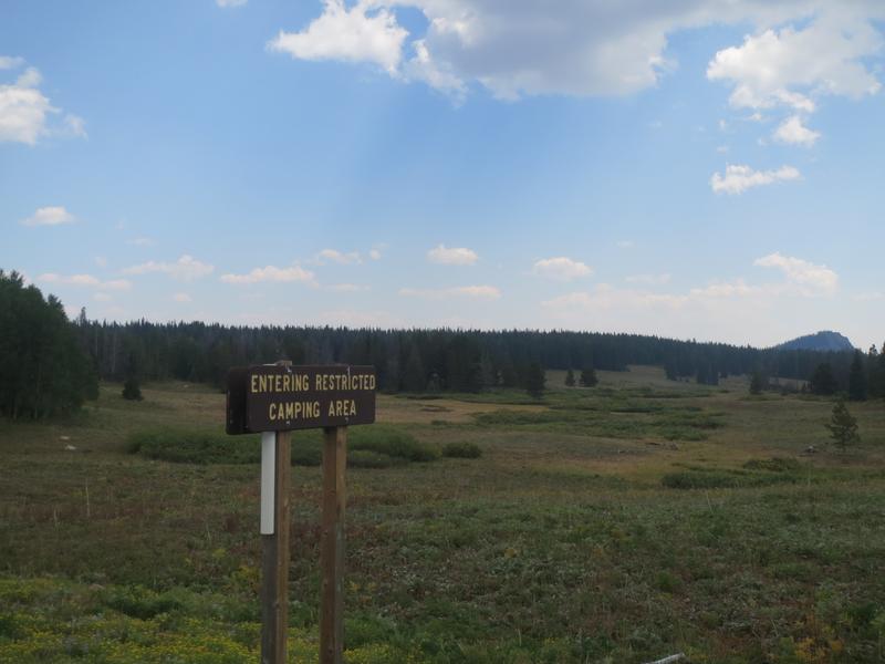 Rabbit Ears Pass Camping