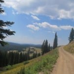 Rabbit Ears Pass Forest Road 311