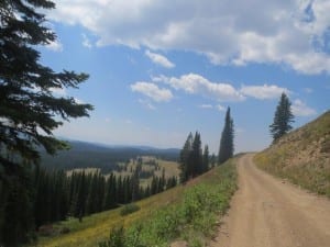 Rabbit Ears Pass Forest Road 311