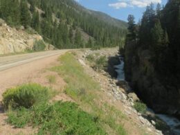 Cache La Poudre North Park Scenic Byway