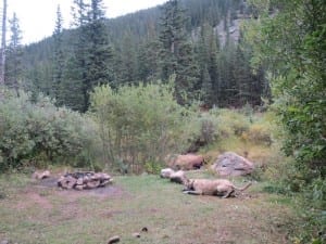 Guanella Pass Dispersed Camping Georgetown