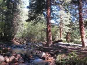 Guanella Pass Geneva Creek