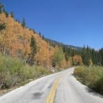 Independence Pass Autumn