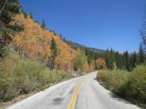 Independence Pass Autumn