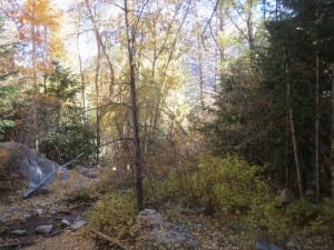 Agnes Vaille Falls Chalk Creek