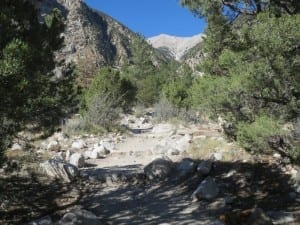 Agnes Vaille Falls Hiking Trail