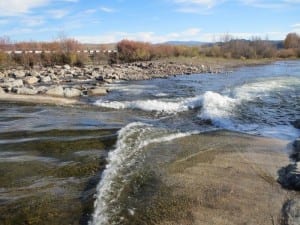 Gunnison River Whitewater Park