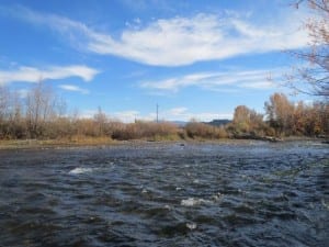 Gunnison River Whitewater Park