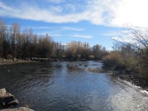 Gunnison River Whitewater Park