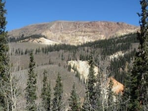 Slumgullion Earthflow Mesa