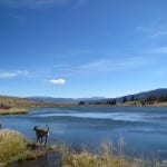 Spring Creek Reservoir