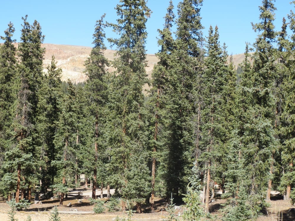 Slumgullion Campground Gunnison National Forest