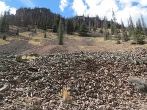 Bachelor Historic Loop Mining Rubble