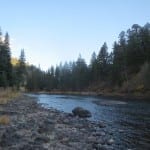 Palisade Campground Rio Grande River