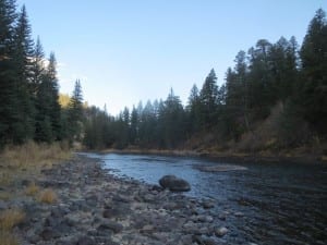 Palisade Campground Rio Grande River