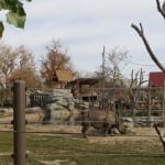 Denver Zoo
