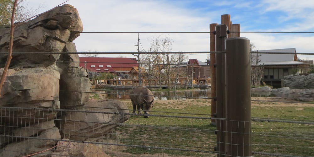 Denver Zoo Wildlife