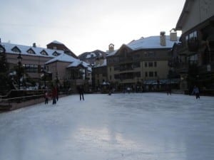 Black Family Ice Rink