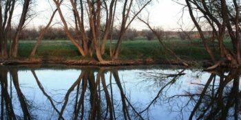 Prewitt Reservoir State Wildlife Area