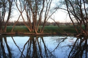 Prewitt Reservoir Canal