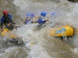 Clear Creek Whitewater Rafting
