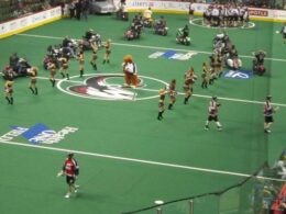 Colorado Mammoth